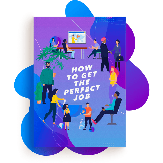 How To Get A Perfect Job Ebook